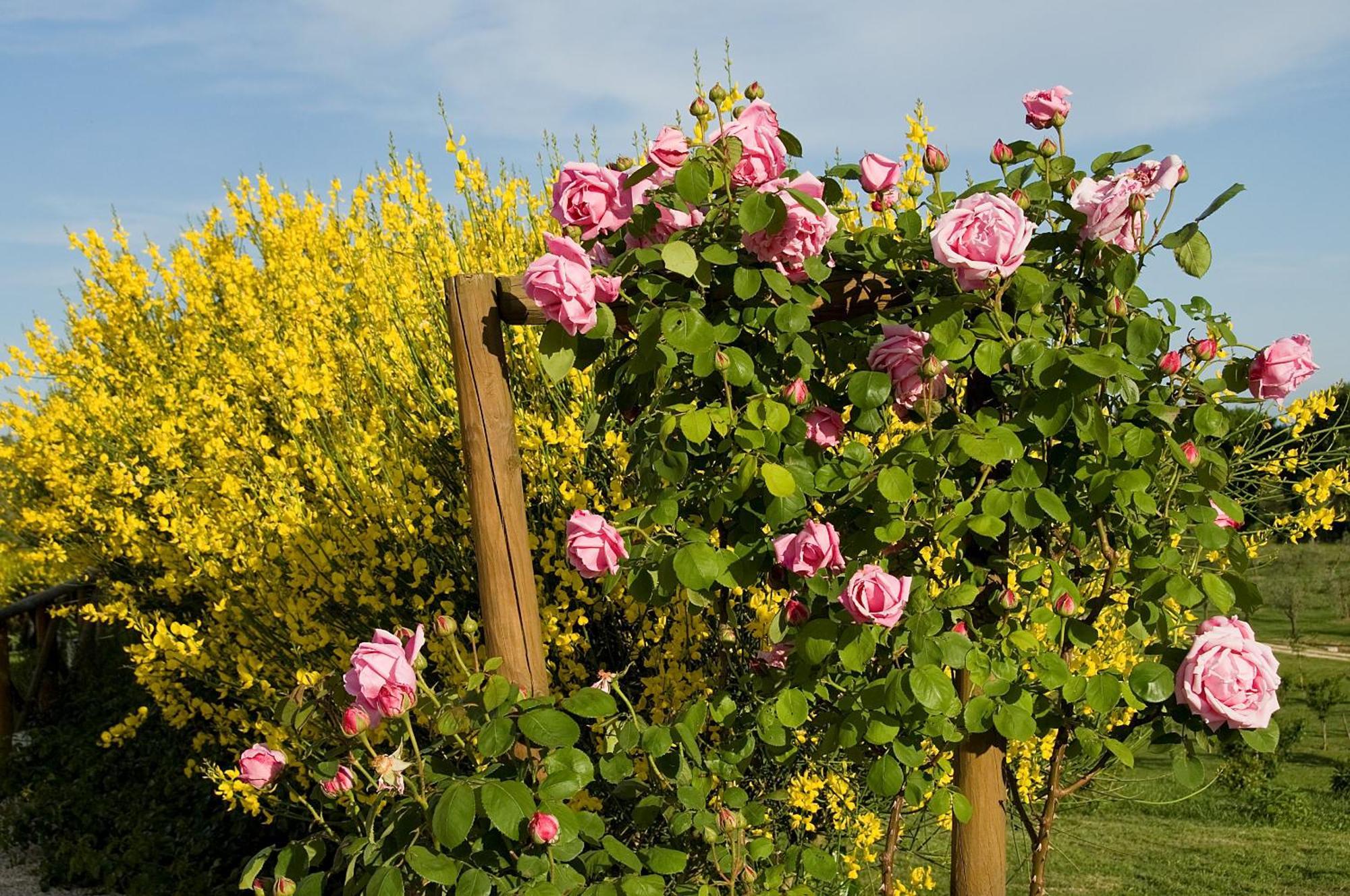 Relais Tenuta Del Gallo Amelia Bagian luar foto